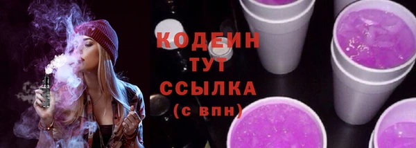 индика Беломорск