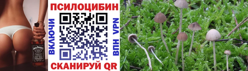 Галлюциногенные грибы мицелий  что такое   Сланцы 